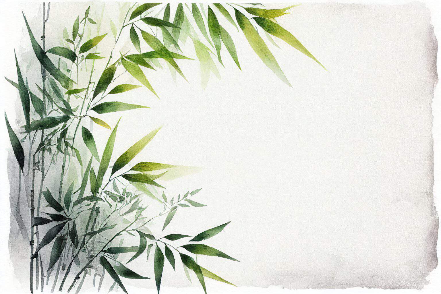 A watercolor painting of bamboo leaves on a white background.